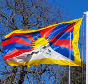 Tibet Flagge zeigen